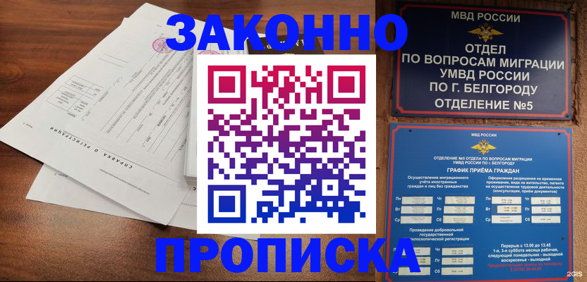 прописка в Жукове